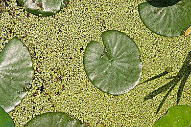 《铁拳8》全球解锁时间公布 1月26日火热开战！